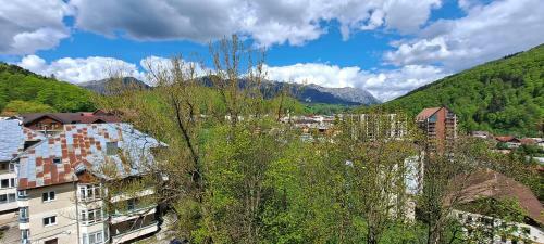 Apartamento Sinaia Alpineview Residence