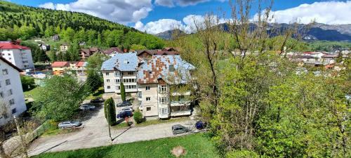 Apartamento Sinaia Alpineview Residence