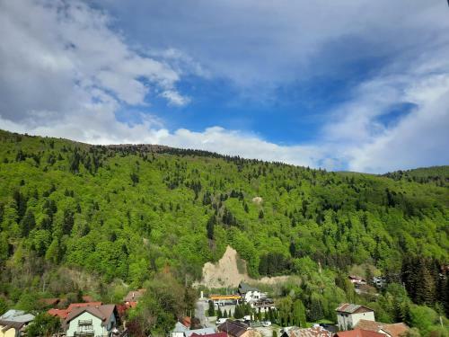 Apartament Erika Sinaia