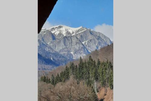 Apartament Erika Sinaia