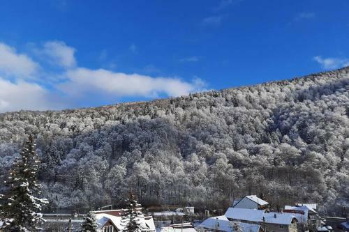 Apartament Erika Sinaia