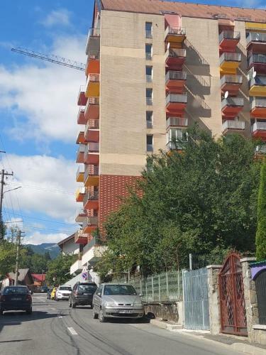 Apartament Erika Sinaia