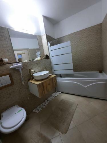Apartament Erika Sinaia