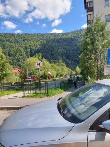 Apartament Erika Sinaia