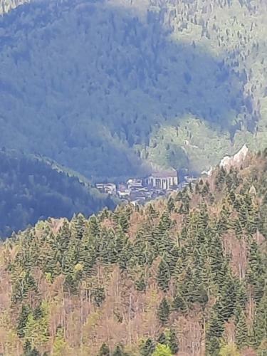 Apartament Erika Sinaia