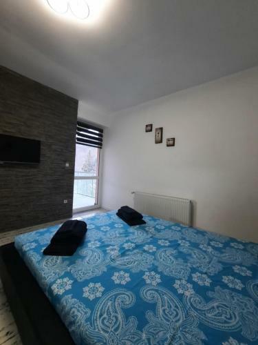 Apartament Erika Sinaia
