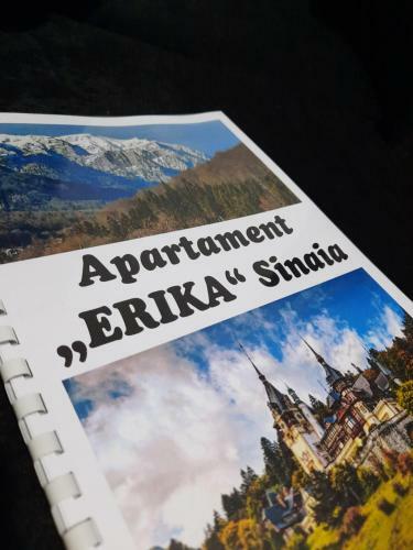 Apartament Erika Sinaia