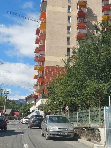 Apartament Erika Sinaia