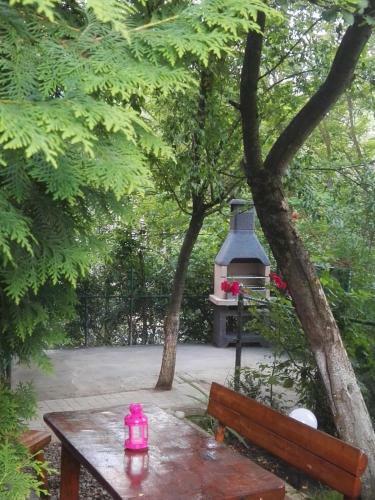 Residence Sinaia Apartment