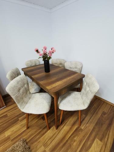 Apartament Dilama Sinaia