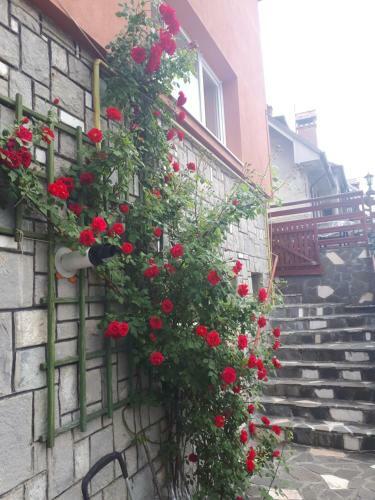 Apartamento Miniapartament