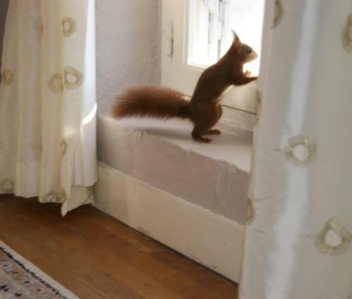 Bed & Breakfast Le Moulin St Jean