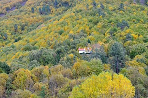 Agroturismo Solar Da Castanha - Forest House