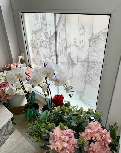 Hotel Lumiere House Sibiu