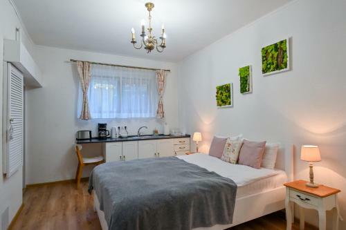 Transilvania Apartment