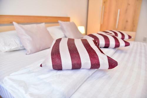 Apartament Central Silva
