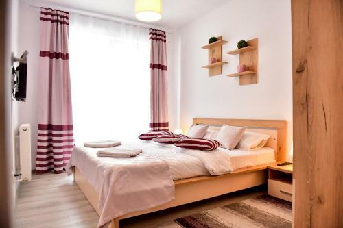 Apartament Central Silva