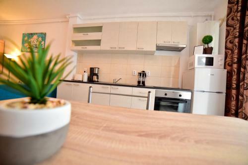Apartament Central Silva