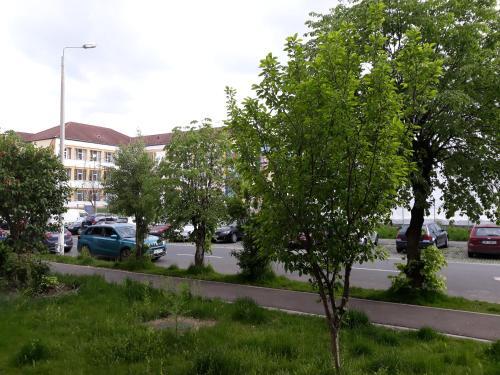 Apartamento Sibiu Home 1