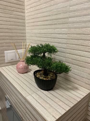 Holiday Apartment