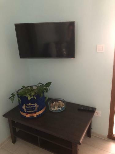Weiss Old Town Ground Floor Apartment