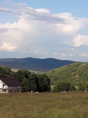 Hostal Pensiunea Natura Sadu
