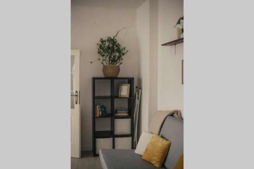 Apartamento Ray's Place In Old Town