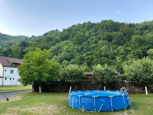 Villa Pensiunea Lotrioara