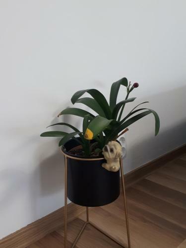 Apartamento Angel Residence