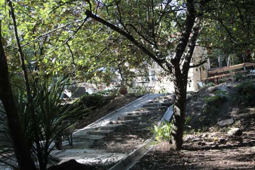 Agroturismo Bosque Dos Amieiros