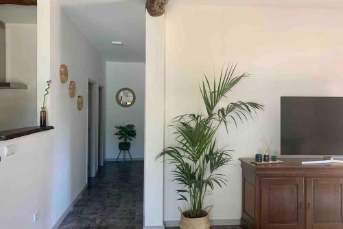 Casa Mira T�mega