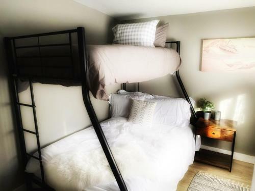 Dwntn 3bd/2ba Cozy Home Ski/hike/climb/hot Springs