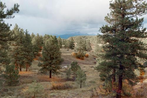 Buena Vista Cabin