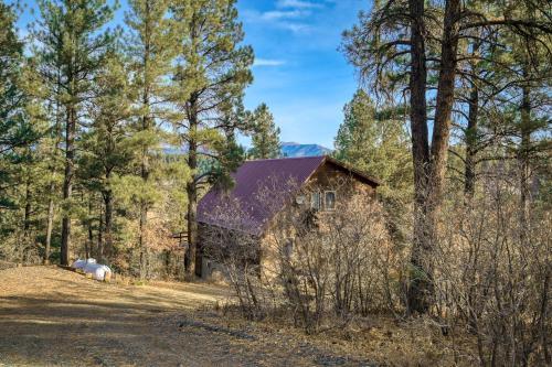 Buena Vista Cabin