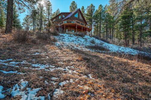 Buena Vista Cabin