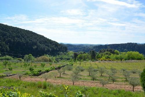 Bed & Breakfast Le Mas De La Cigale
