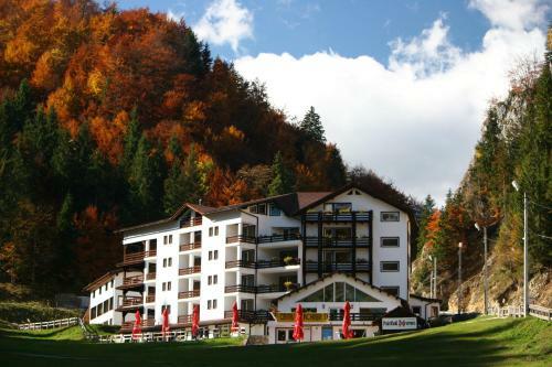 Hotel Complex Cheile Gradistei Moieciu
