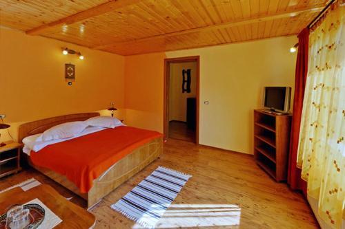 Bed & Breakfast Pensiunea La Turcu