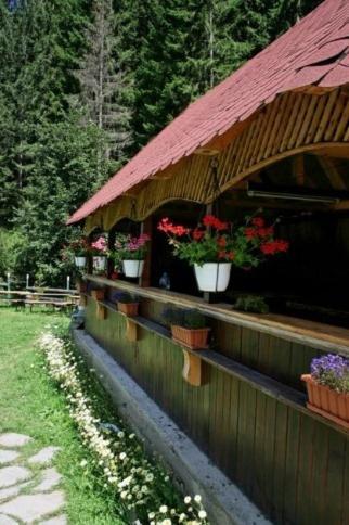 Bed & Breakfast Pensiunea La Turcu