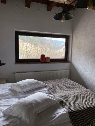 Hostal Pension Conacul Vanatorului