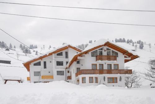 Hostal Pensiunea Padurea Verde
