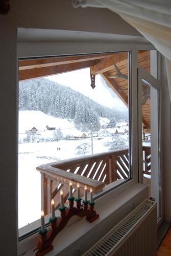 Hostal Pensiunea Padurea Verde