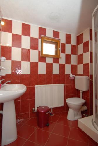 Hostal Pensiunea Padurea Verde
