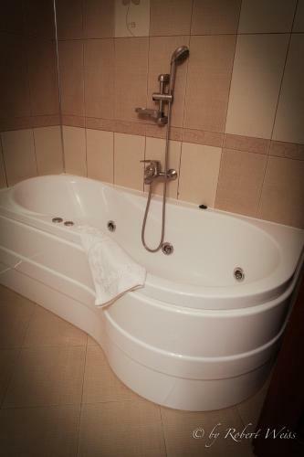 Hostal Pensiunea Vlahia Inn