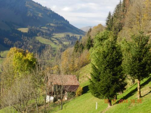 Bed & Breakfast Waldruhe