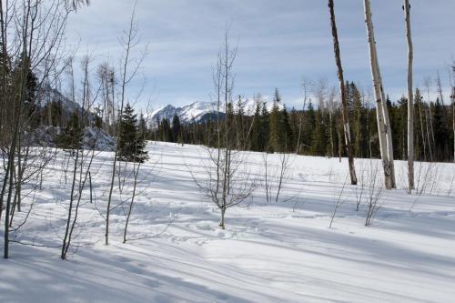 Aspen View Townhome