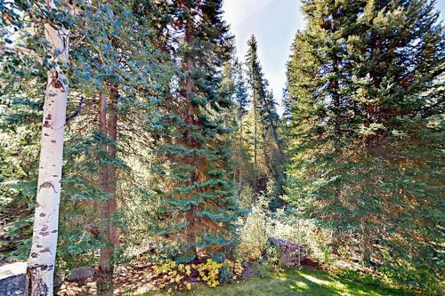 Winterwood Townhomes