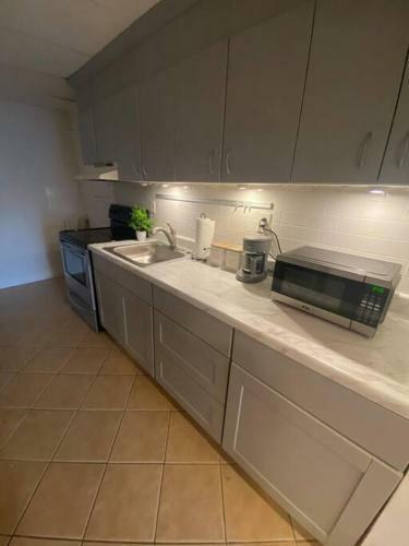 Large Modern 1 Br Apartment In Downtown