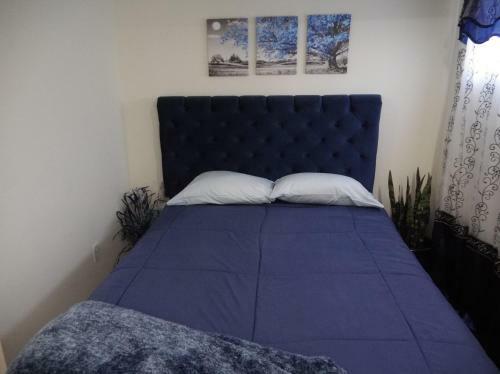 Hostal The Blue Room Luxury Suite