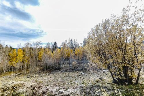 Kings Crossing 5